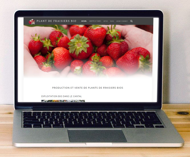 Plants de fraisiers bio - Projet perso