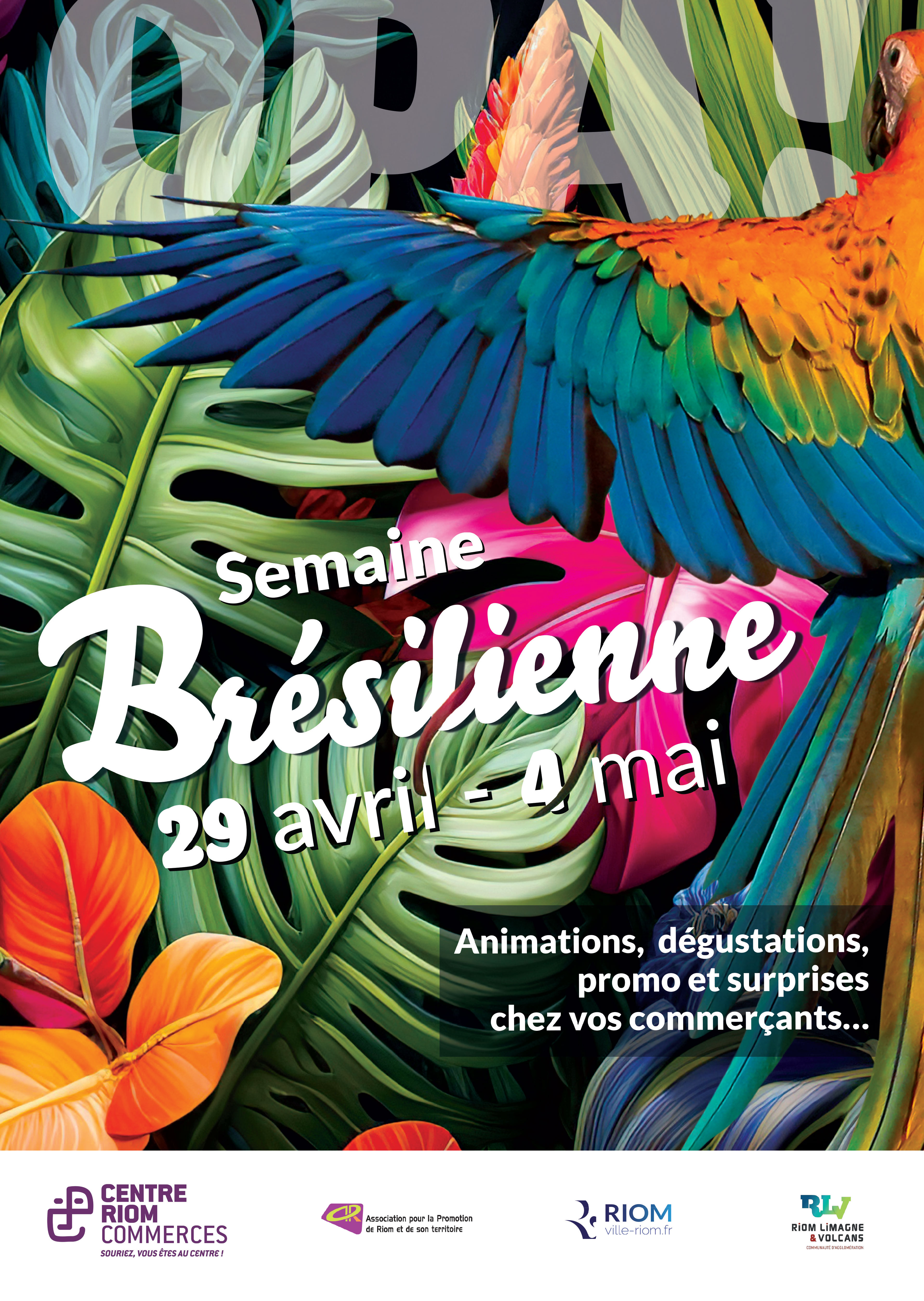 Semaine Brésilienne - Ville de Riom / Riom centre