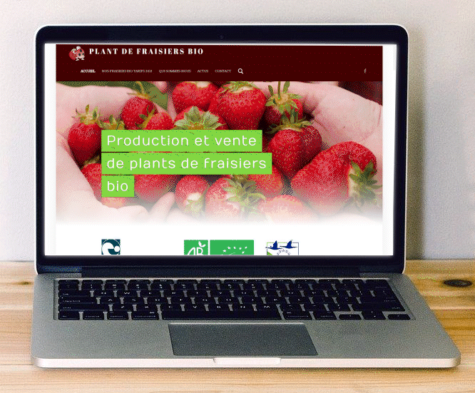 Ancienne version du site internet Plant de fraisier bio