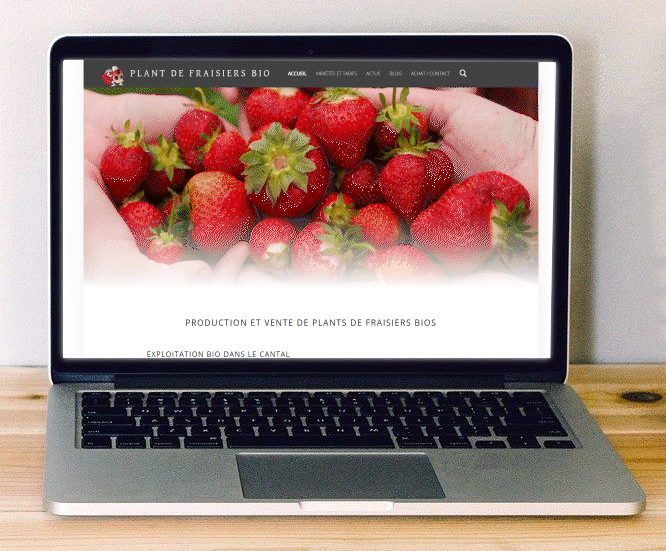 Home page du site internet Plant de fraisier bio